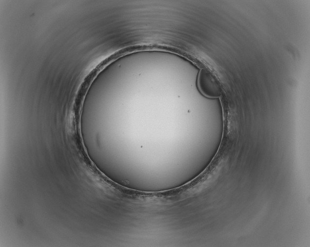 X0000113920876200910090934