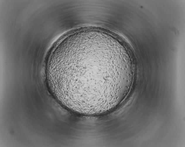 X0000113920878200910090934