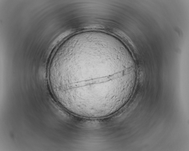 X0000113920882200910090934