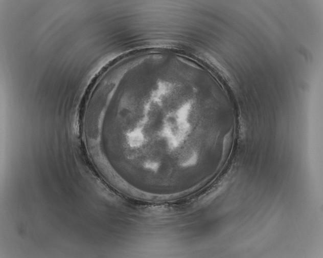 X0000113920883200910090934