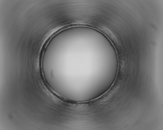 X0000113920884200910090934