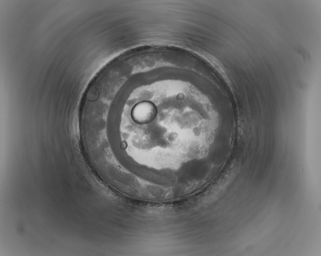 X0000113920887200910090934