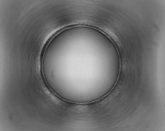 X0000113920888200910090934