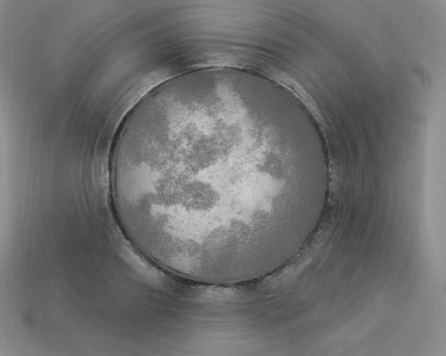X0000113920890200910090934
