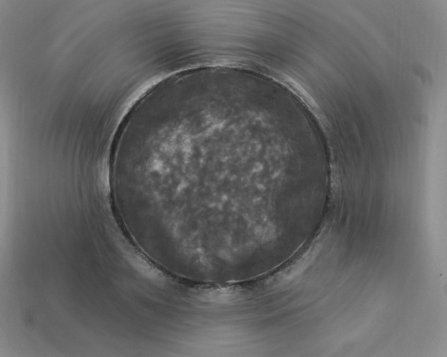 X0000113920891200910090934