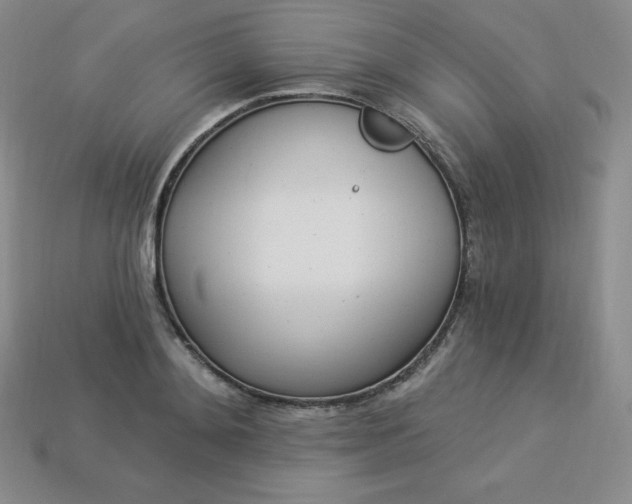 X0000113920892200910090934