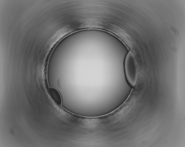 X0000113920893200910090934