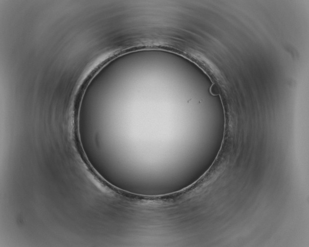 X0000113920894200910090934