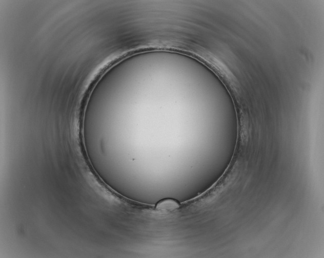 X0000113920896200910090934