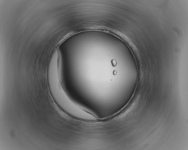 X0000113920897200910090934