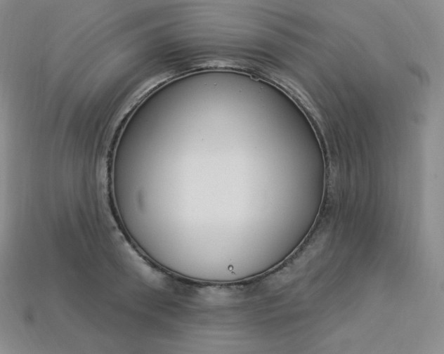 X0000113920898200910090934