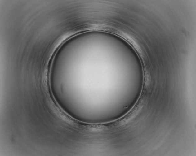 X0000113920899200910090934