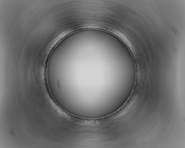 X0000113920901200910090934