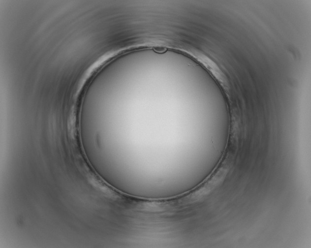 X0000113920904200910090933