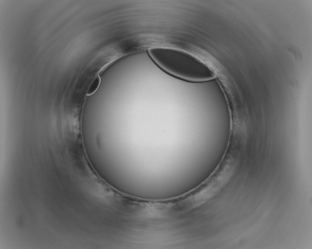 X0000113920905200910090933