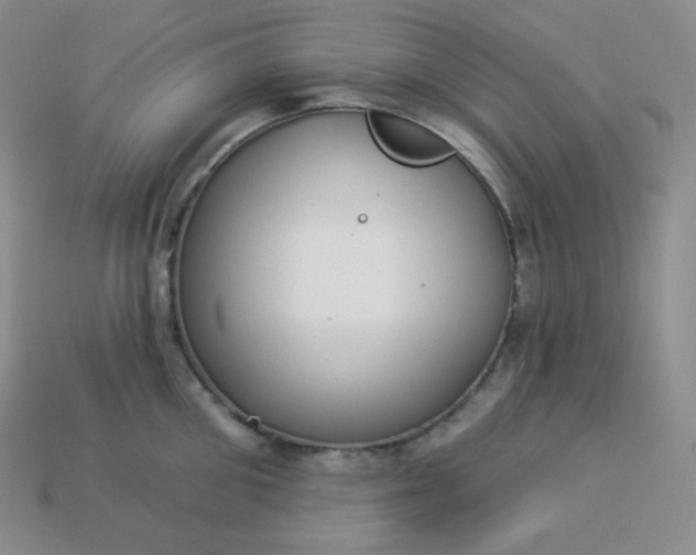 X0000113920906200910090933