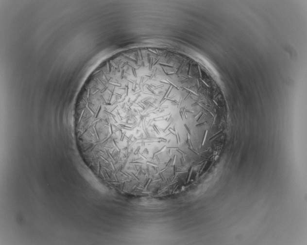 X0000113920907200910090933