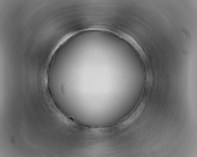 X0000113920908200910090933