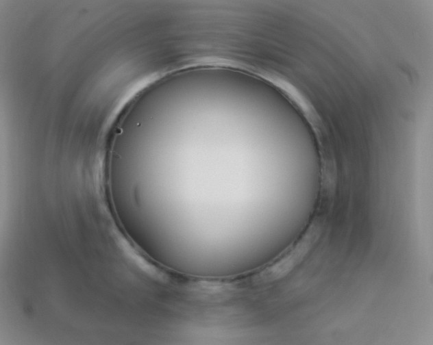 X0000113920910200910090933