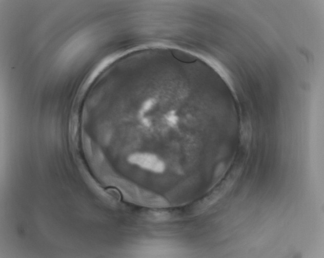 X0000113920911200910090933