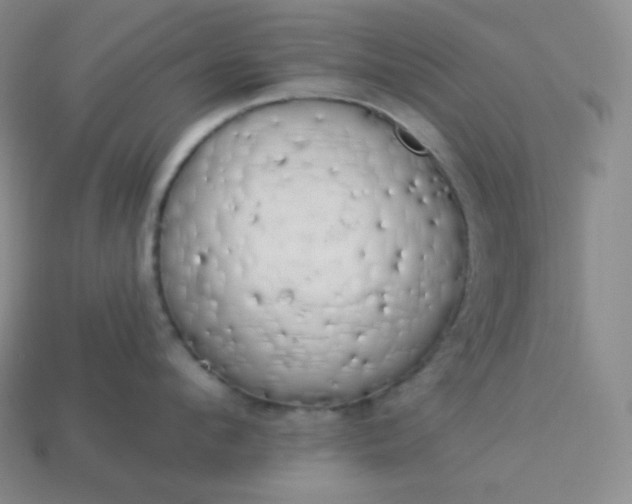 X0000113920912200910090933