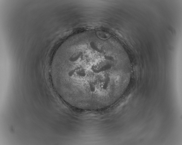 X0000113920913200910090933