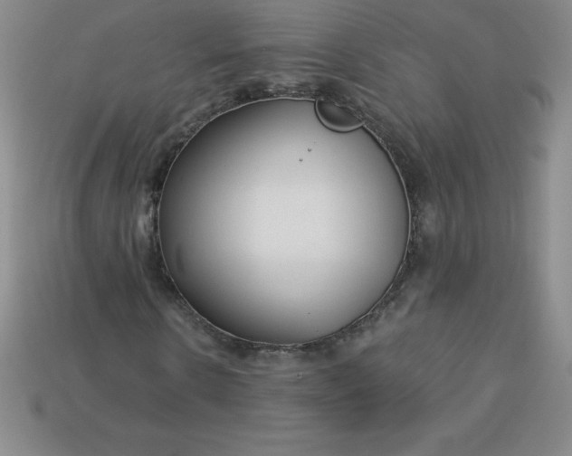 X0000113920914200910090933
