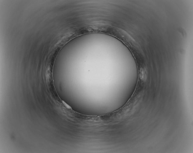 X0000113920915200910090933
