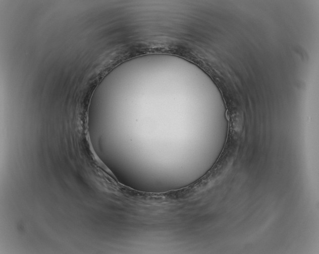 X0000113920916200910090933