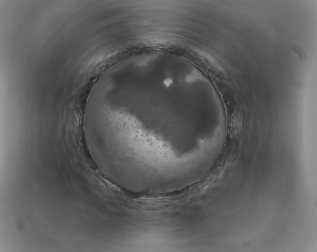 X0000113920917200910090933