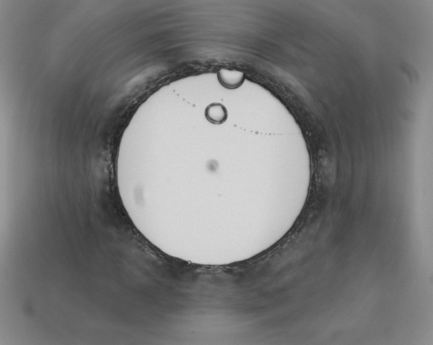 X0000113920918200910090933