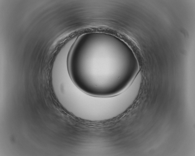 X0000113920920200910090933