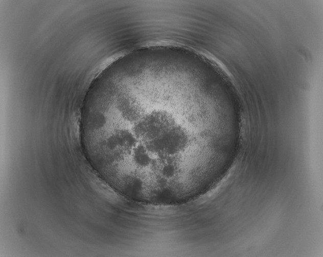 X0000113920921200910090933
