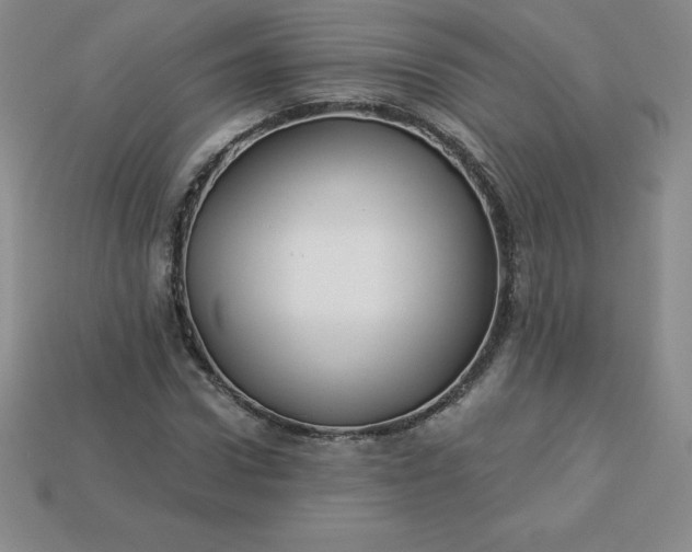 X0000113920922200910090933