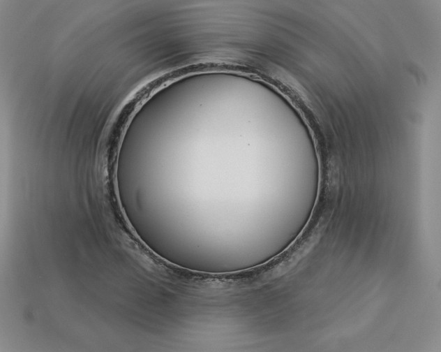 X0000113920923200910090933