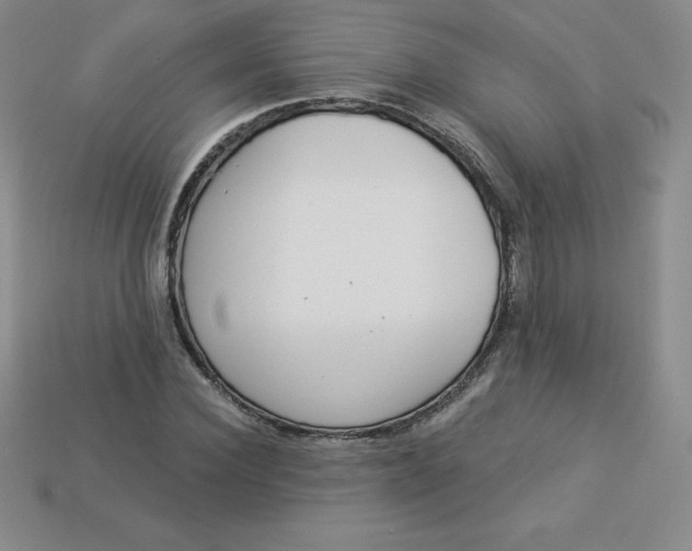 X0000113920924200910090933
