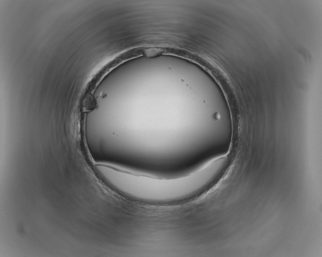 X0000113920925200910090933