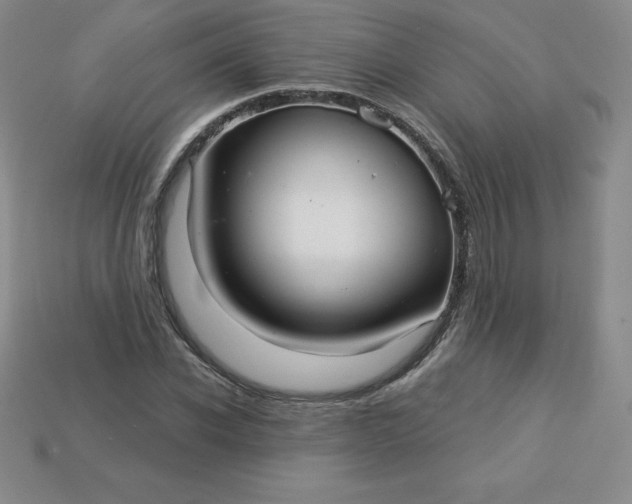 X0000113920926200910090933