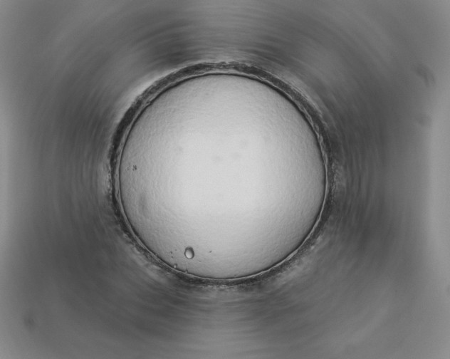 X0000113920927200910090933