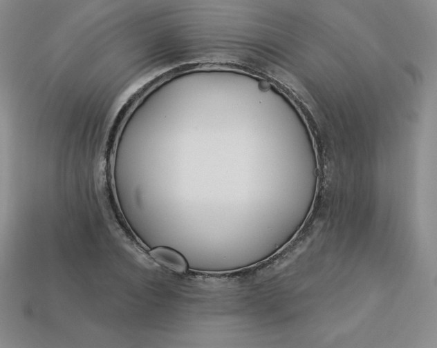 X0000113920928200910090933
