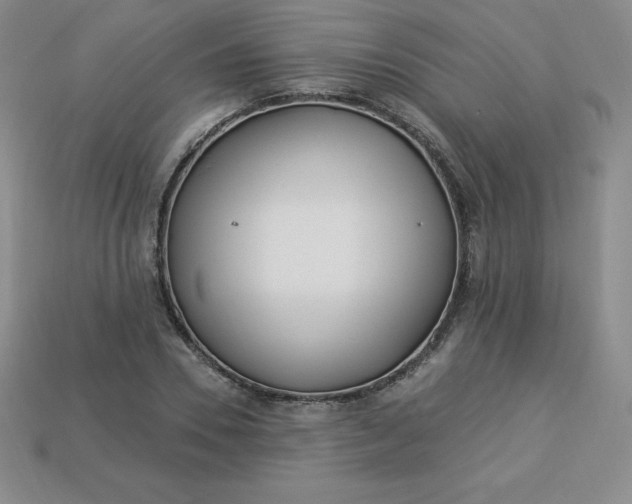 X0000113920930200910090933