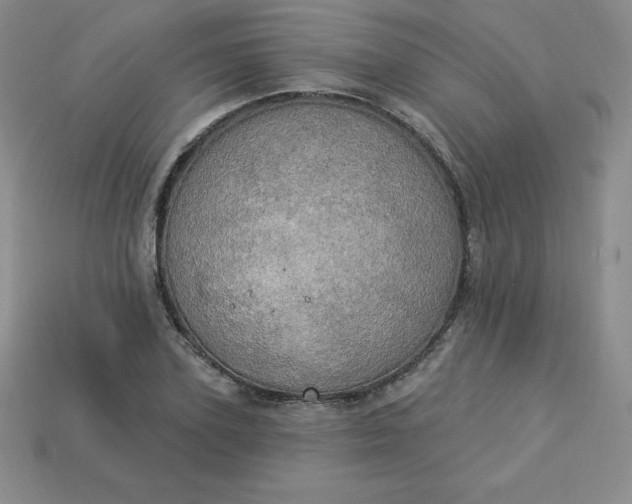 X0000113920931200910090933