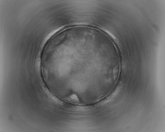 X0000113920933200910090933
