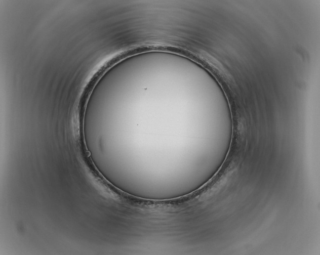 X0000113920934200910090933