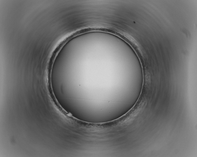 X0000113920935200910090933