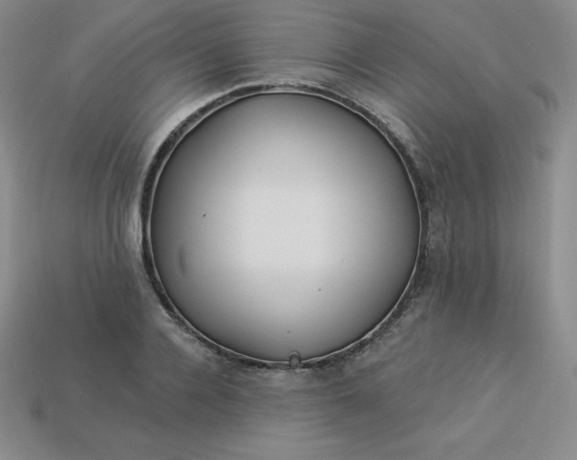 X0000113920936200910090933