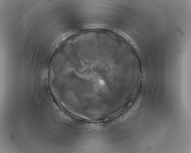 X0000113920937200910090933