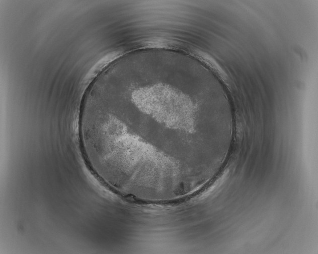 X0000113920938200910090933