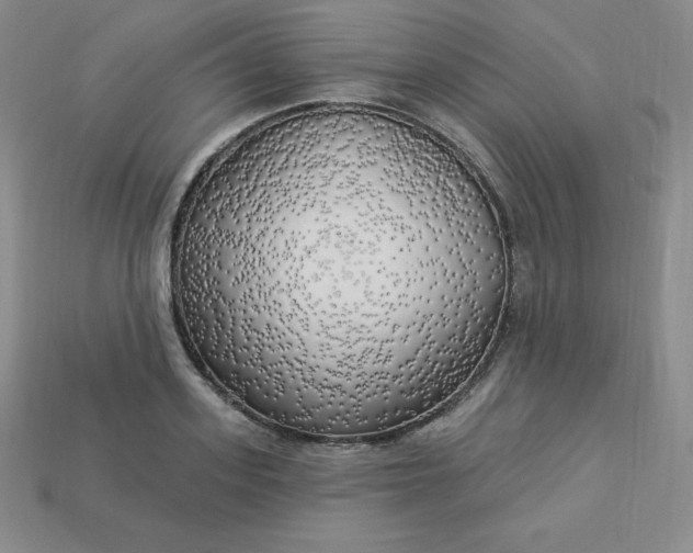 X0000113920939200910090933