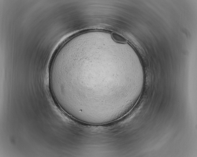 X0000113920940200910090933